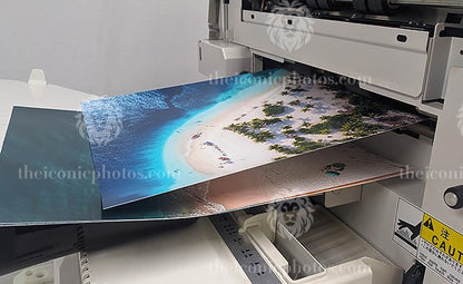 Devin Booker – Iconic Signed Phoenix Suns Photograph | The Iconic Photos