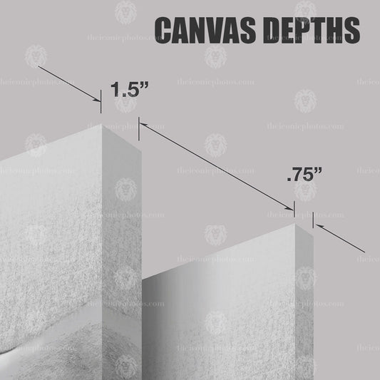 UFC 273 Volkanovski vs TKZ Canvas – Featherweight Title Showcase Wall Art