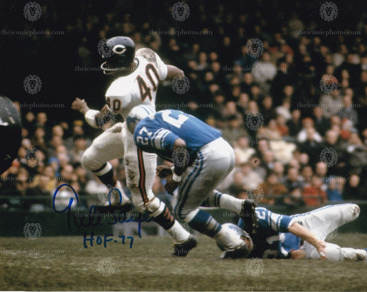 Iconic signed photograph of NFL Hall of Fame legend Gale Sayers with the Chicago Bears curated by The Iconic Photos