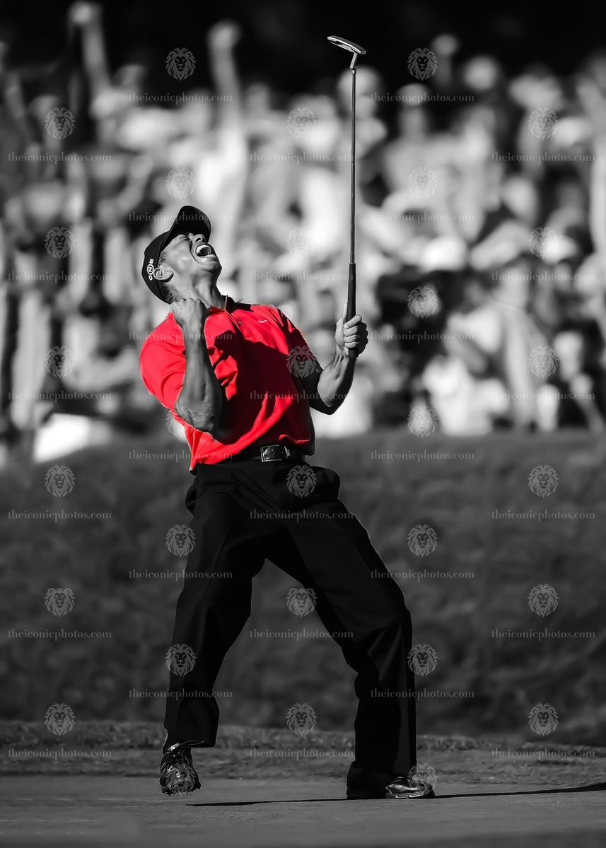 Tiger Woods golf canvas wall art for modern home and office decor