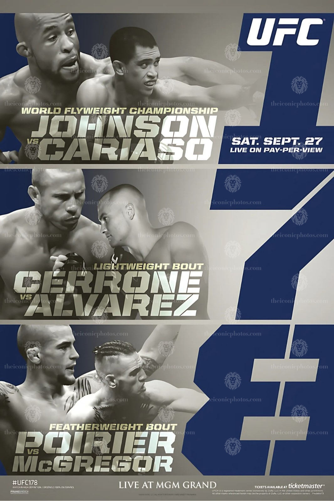 UFC 178 Johnson vs Cariaso flyweight title fight MMA canvas wall art for man cave and office decor