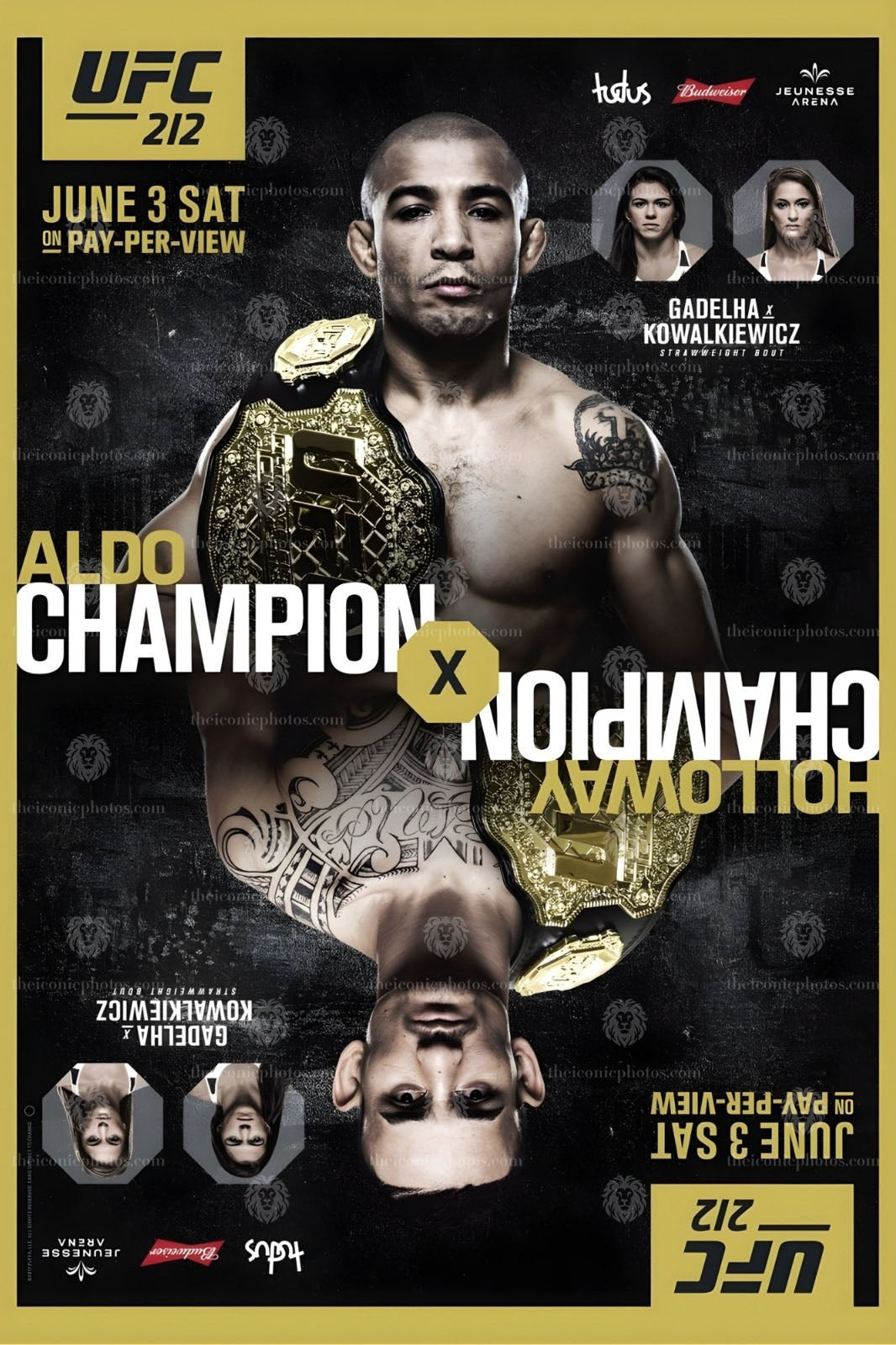 UFC 212 Aldo vs Holloway featherweight title fight MMA canvas wall art for man cave and office decor