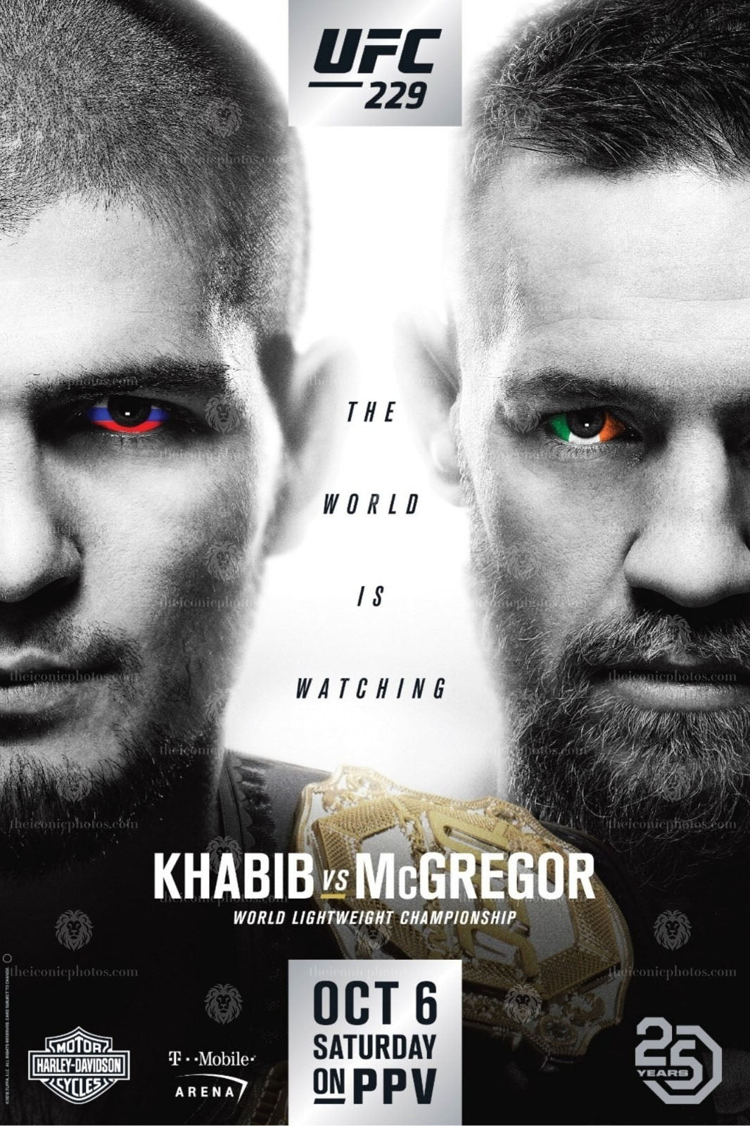 UFC 229 Khabib vs McGregor lightweight title mega fight MMA canvas wall art for man cave and office decor