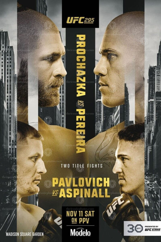 UFC 295 Prochazka vs Pereira light heavyweight title fight MMA canvas wall art for man cave and office decor